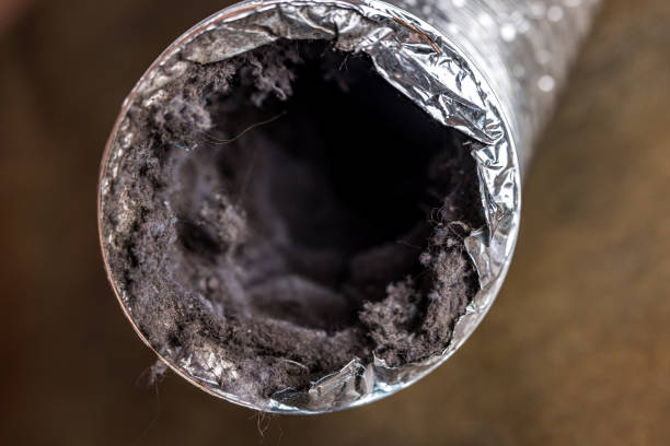 Best Air Quality Test  in Tucson Estates, AZ